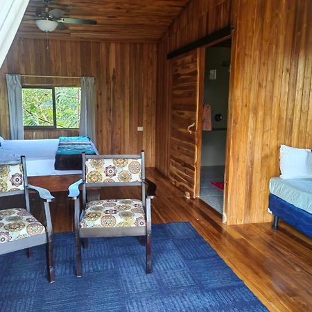 Onca Tours & Treehouses Katira Extérieur photo