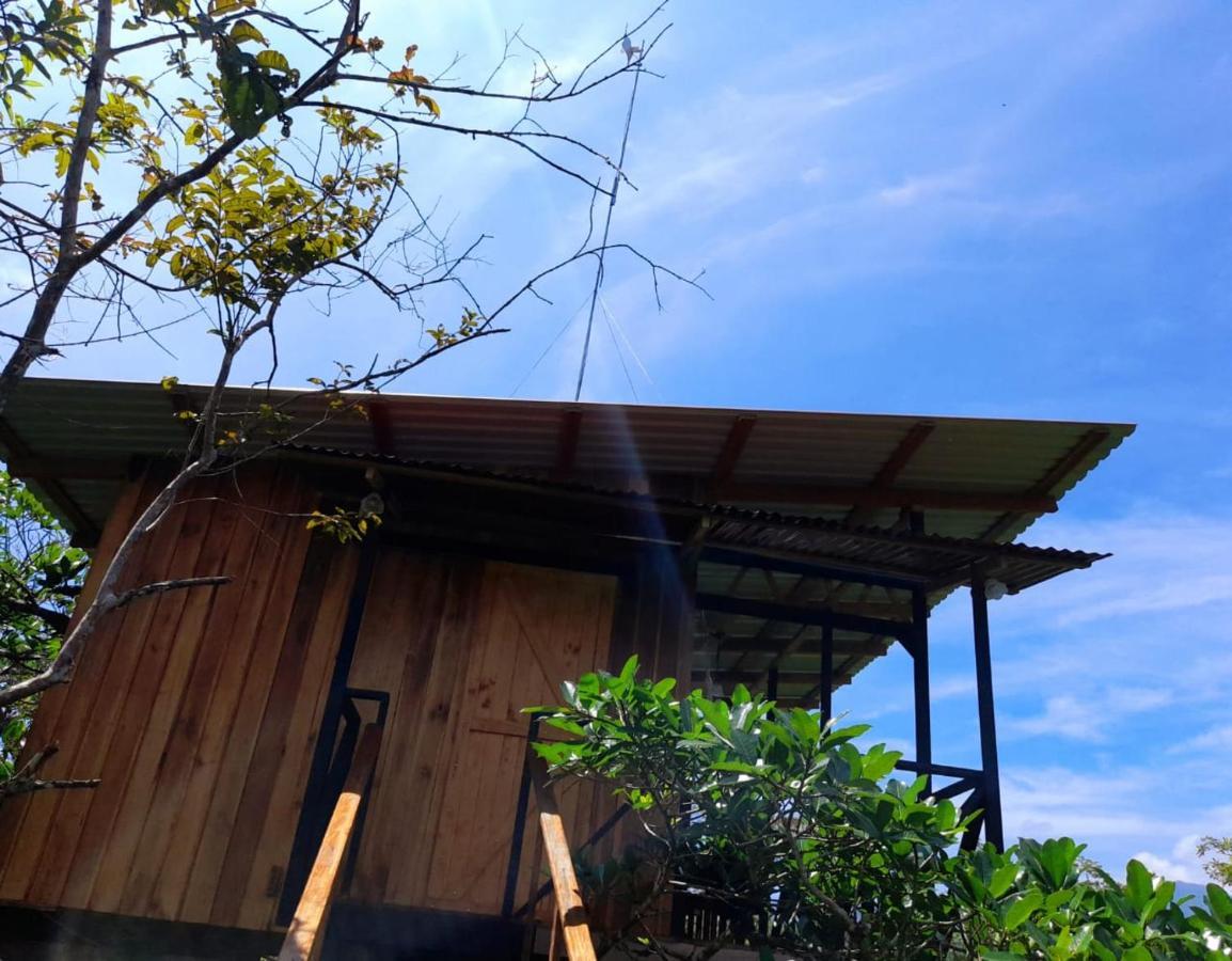 Onca Tours & Treehouses Katira Extérieur photo