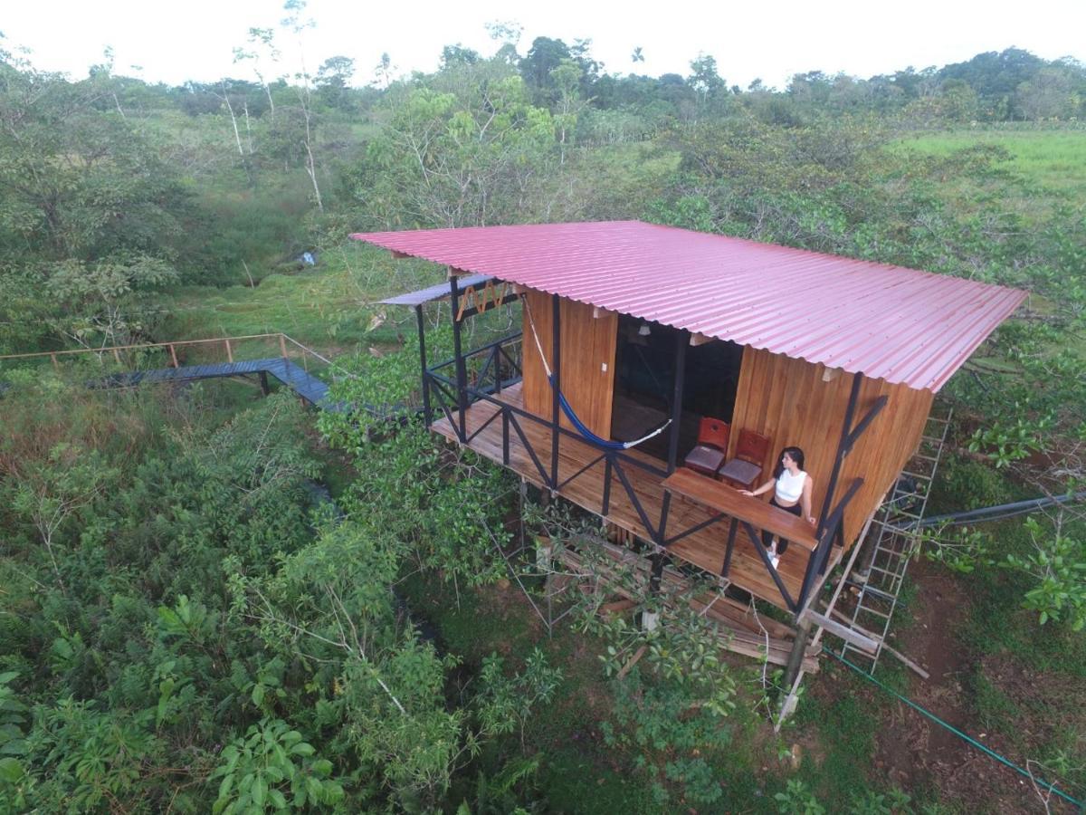 Onca Tours & Treehouses Katira Extérieur photo