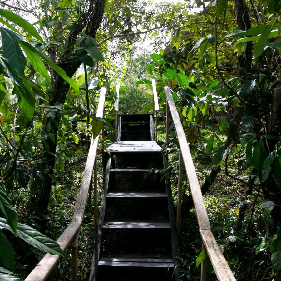 Onca Tours & Treehouses Katira Extérieur photo