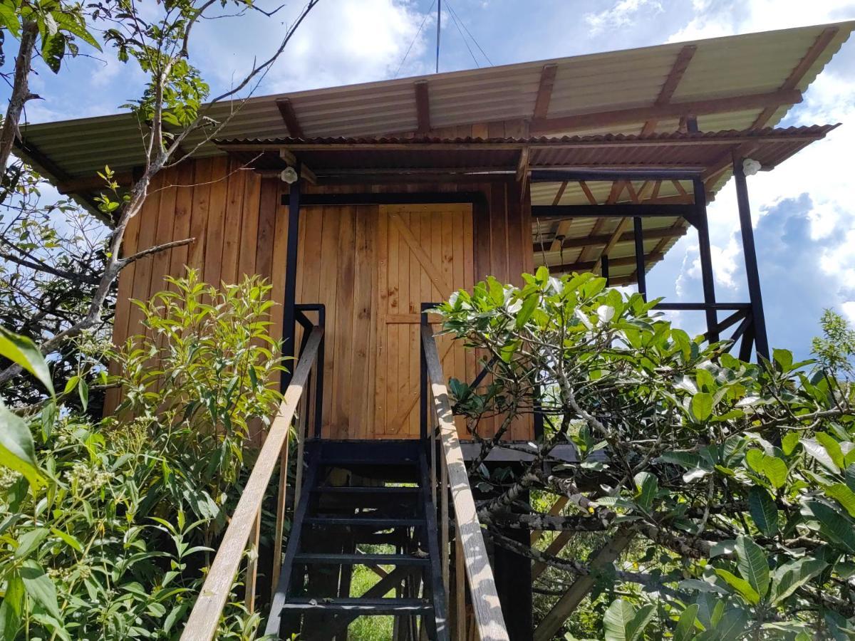 Onca Tours & Treehouses Katira Extérieur photo