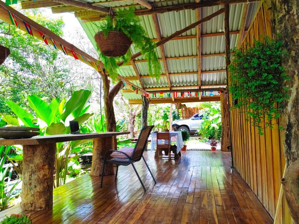 Onca Tours & Treehouses Katira Extérieur photo