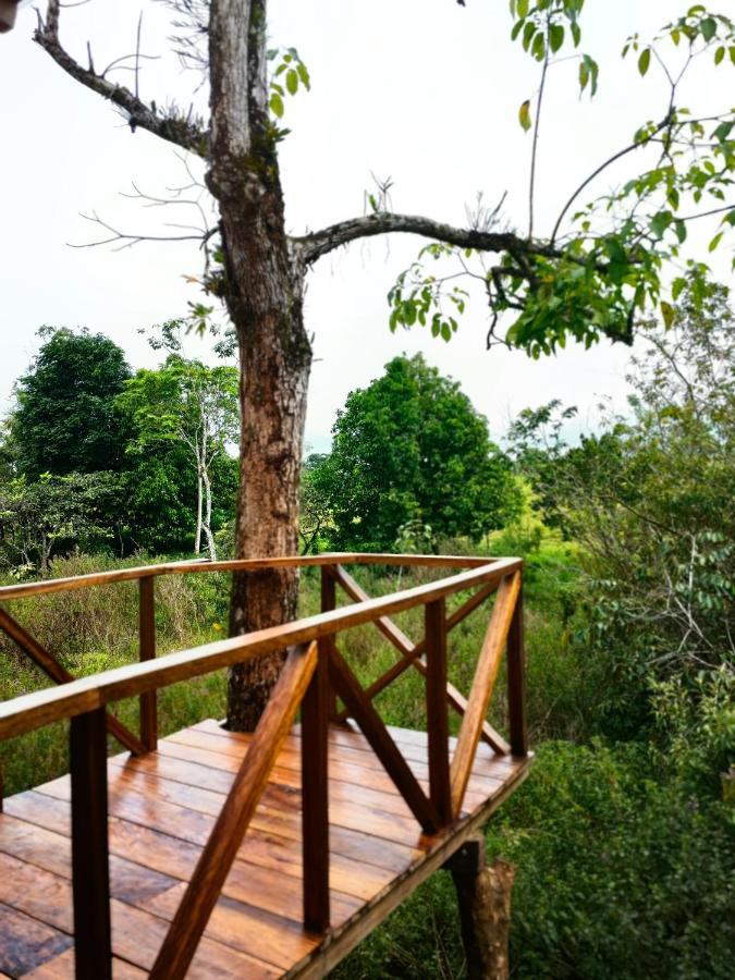 Onca Tours & Treehouses Katira Extérieur photo