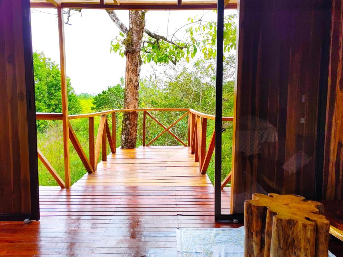 Onca Tours & Treehouses Katira Extérieur photo