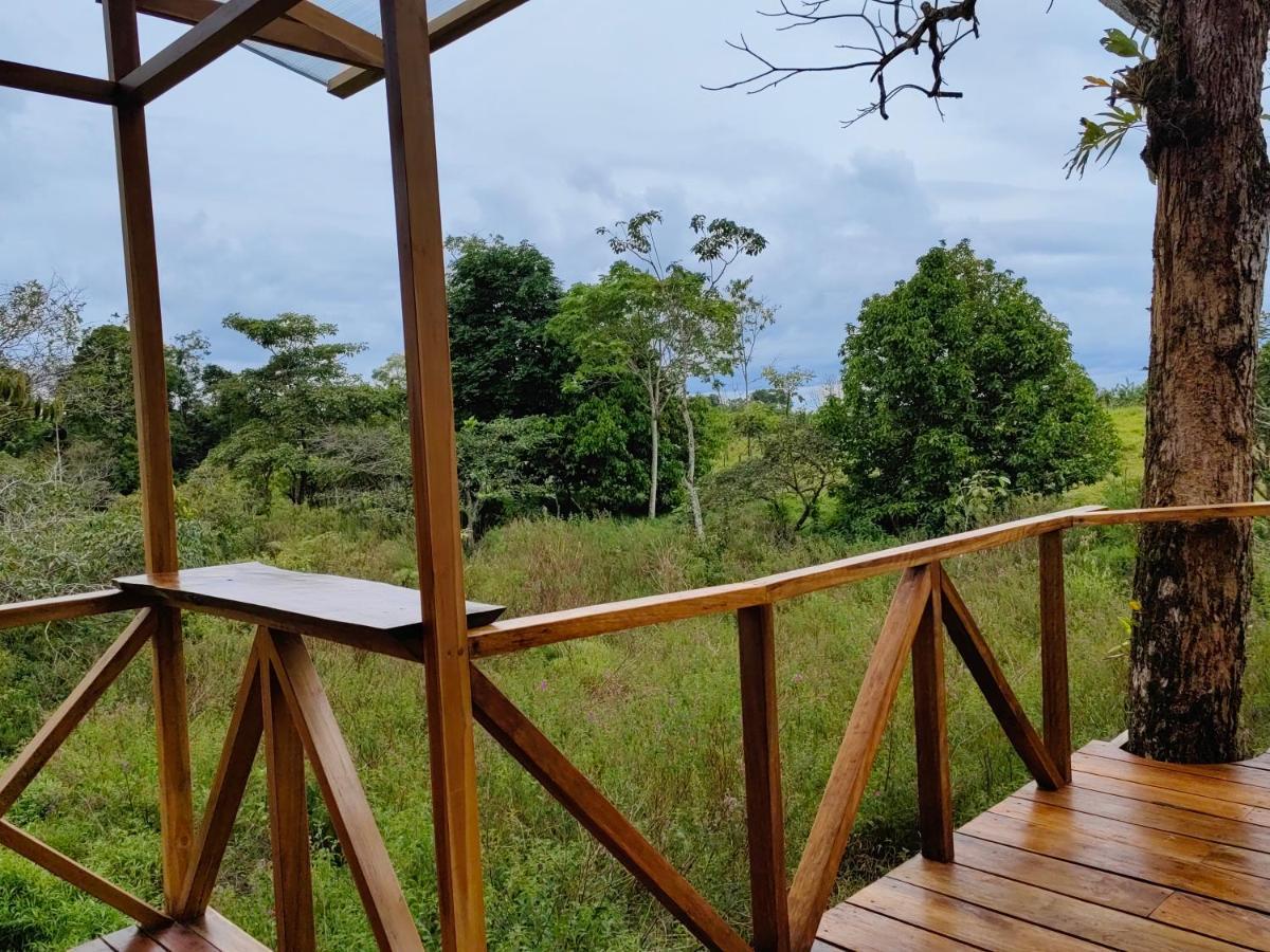 Onca Tours & Treehouses Katira Extérieur photo