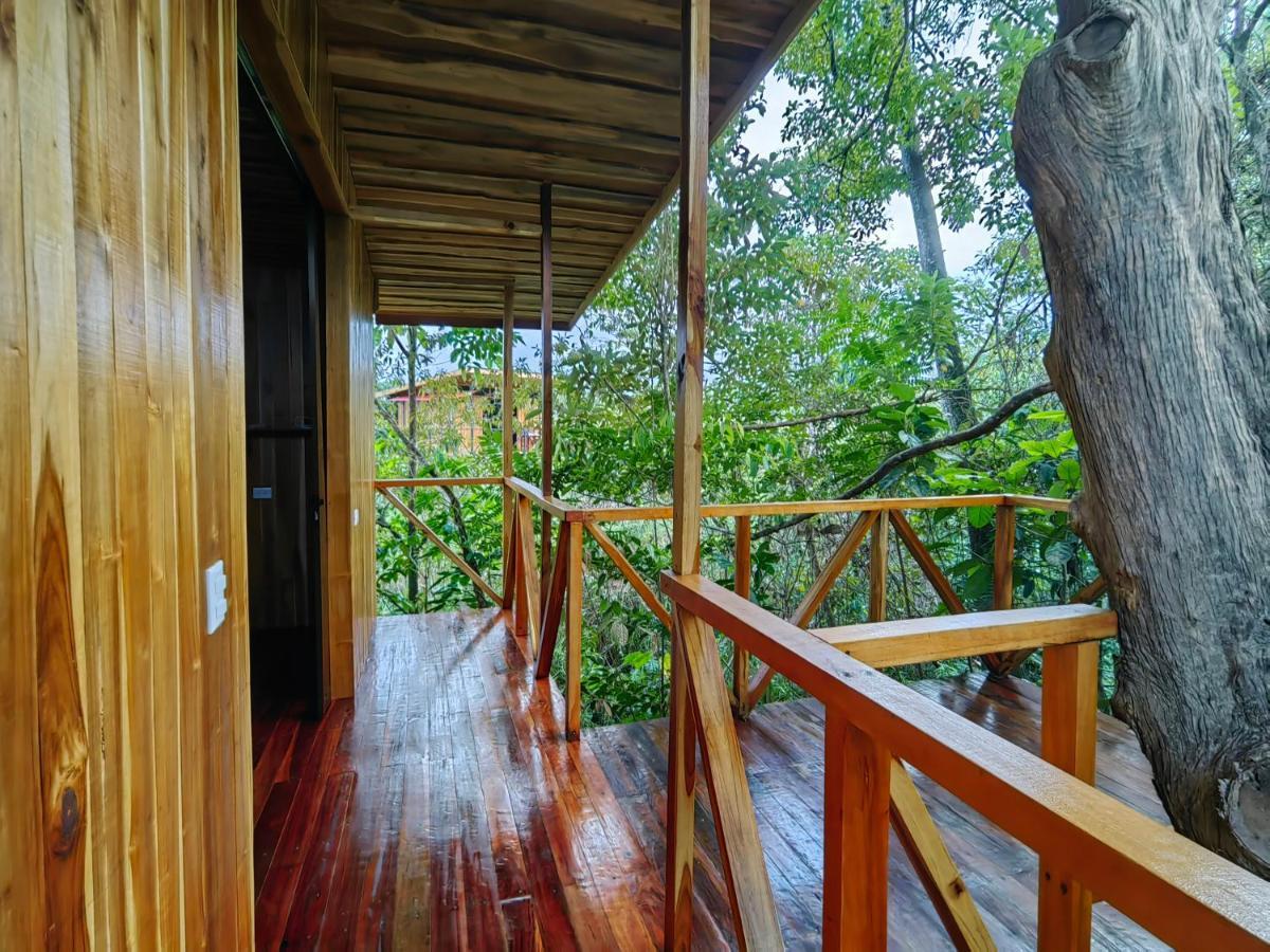 Onca Tours & Treehouses Katira Extérieur photo