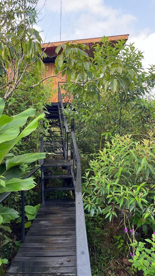 Onca Tours & Treehouses Katira Extérieur photo