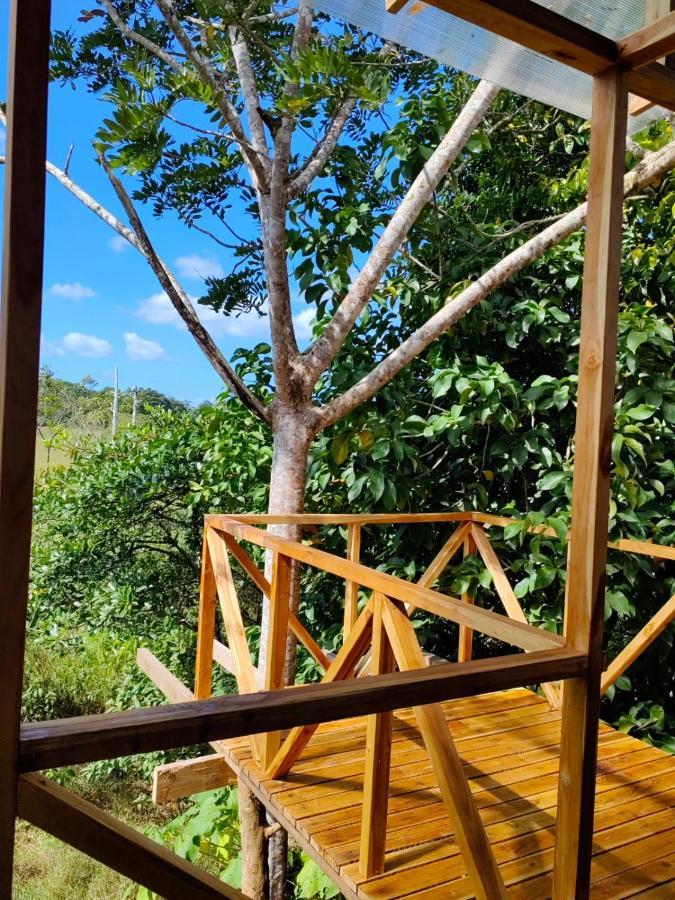 Onca Tours & Treehouses Katira Extérieur photo