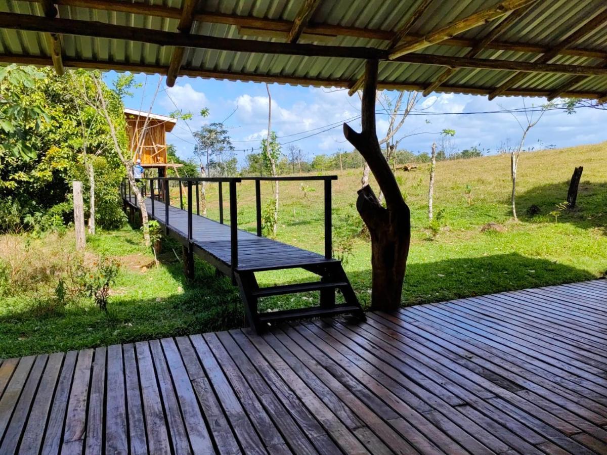 Onca Tours & Treehouses Katira Extérieur photo