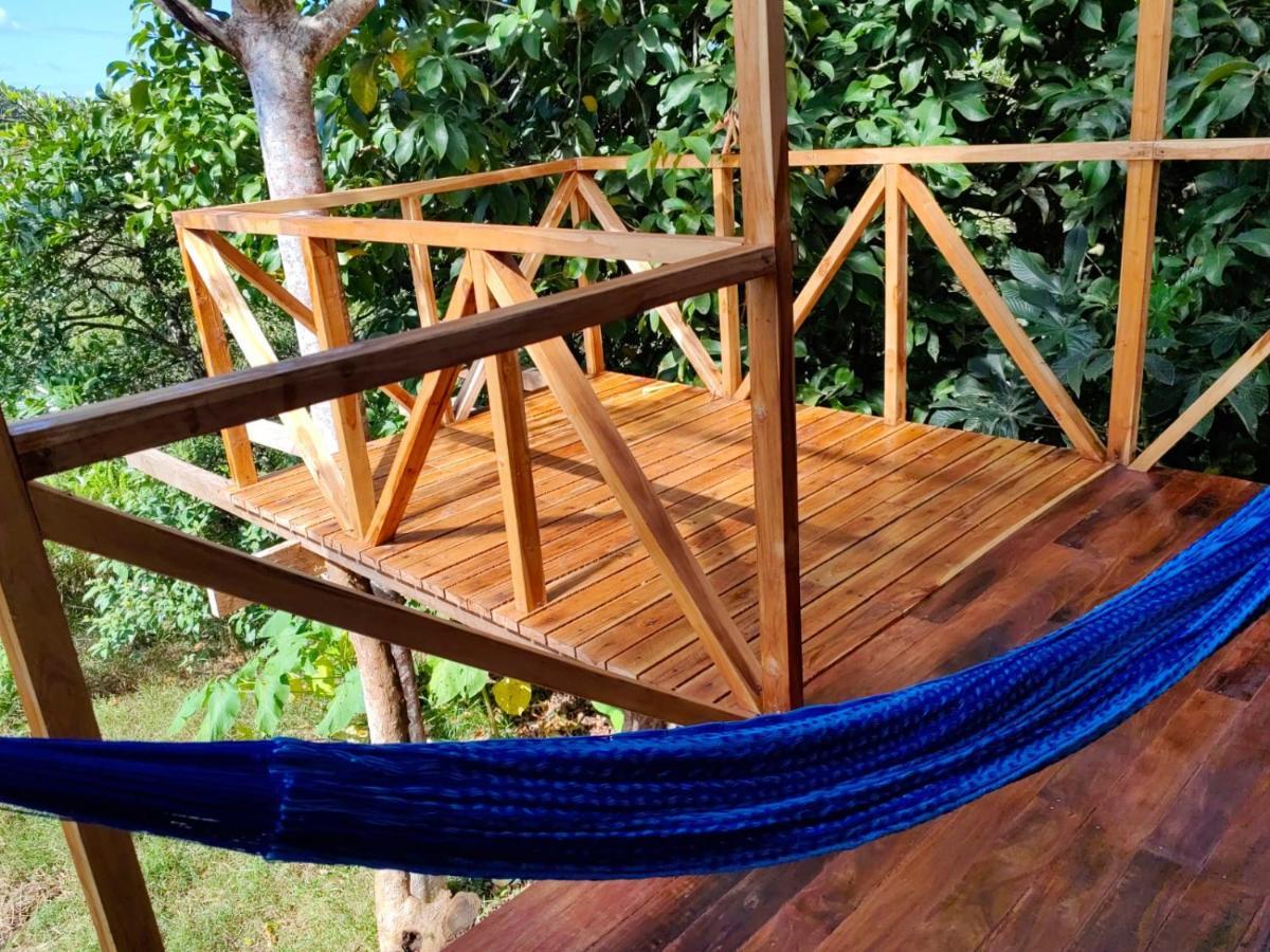 Onca Tours & Treehouses Katira Extérieur photo