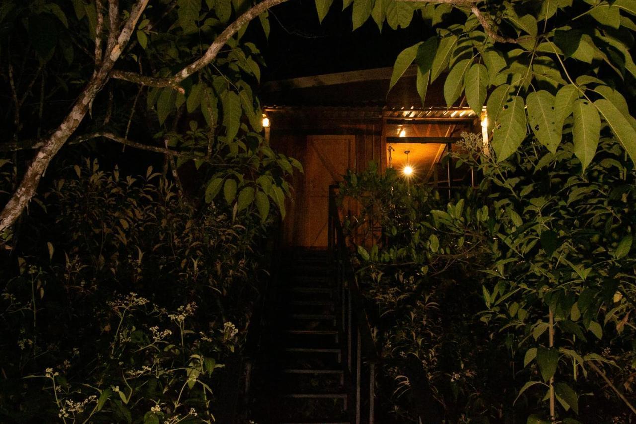 Onca Tours & Treehouses Katira Extérieur photo