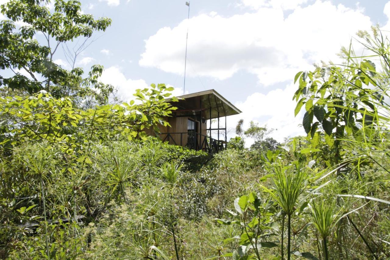 Onca Tours & Treehouses Katira Extérieur photo