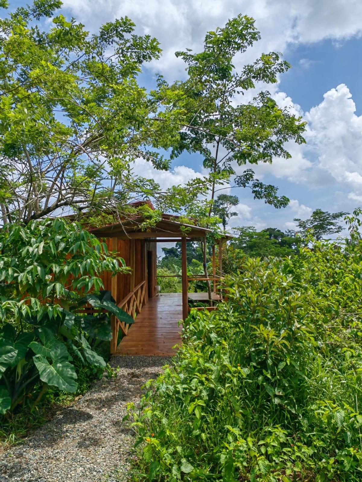Onca Tours & Treehouses Katira Extérieur photo