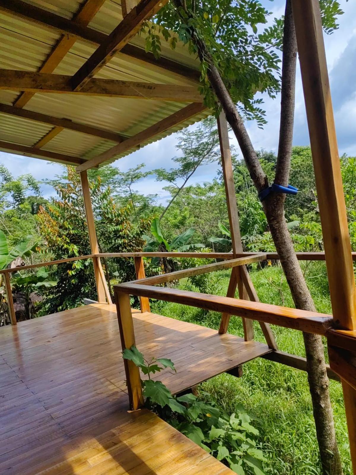 Onca Tours & Treehouses Katira Extérieur photo
